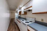 2BR, 1BA - 800SF - Kitchen
