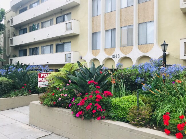 Photo - 1943 Rodney Dr Unidad 215