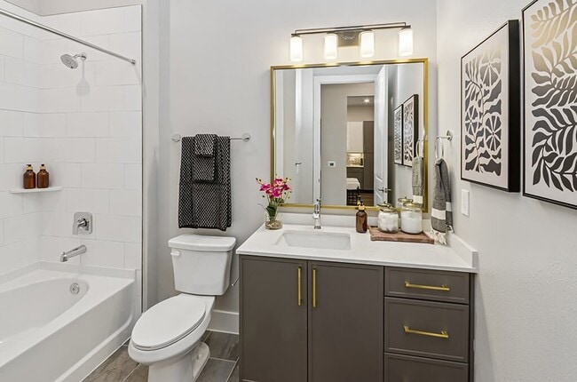 The Waylon Apartments & Townhomes