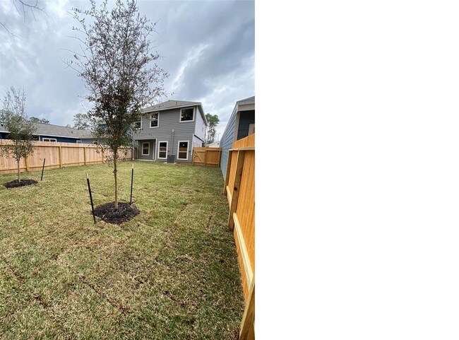 Backyard - 149 Camelot Place Ct