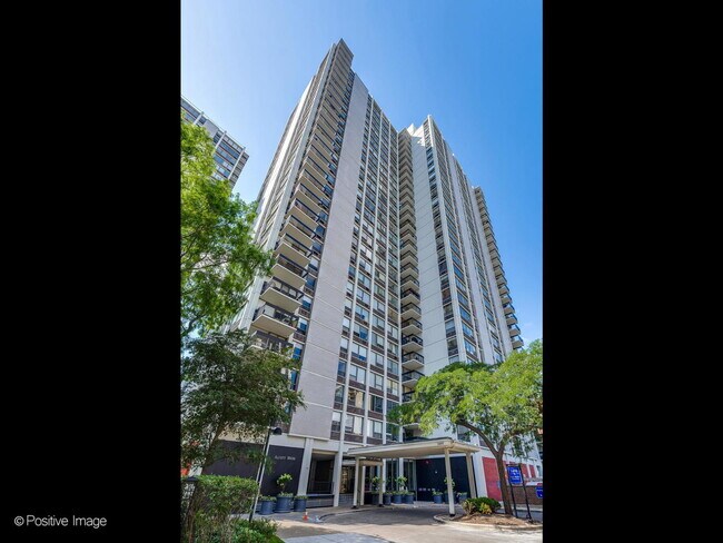 Building Photo - 1460 N Sandburg Terrace Unit 1703 Rental