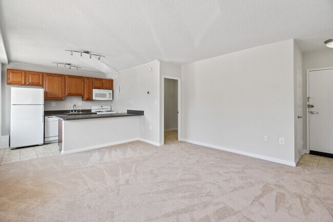 Photo - The Brittany