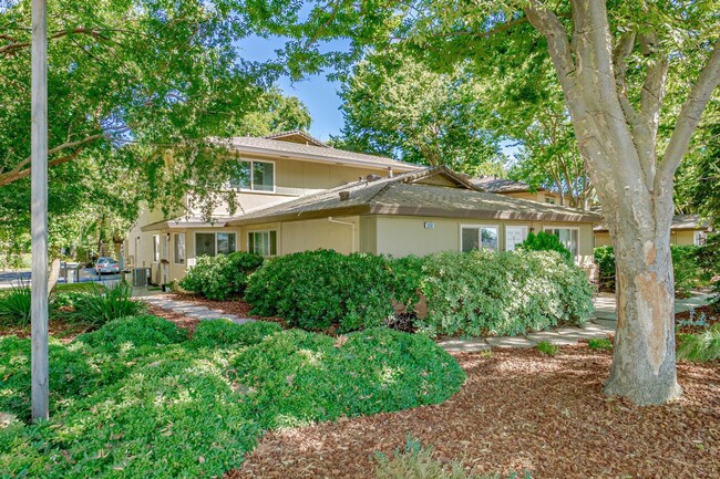 Fully Updated 2 Bedroom 1 Bath Condo - Fully Updated 2 Bedroom 1 Bath Condo
