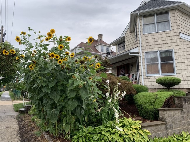 Photo - 225 Sickles Ave Unit 1