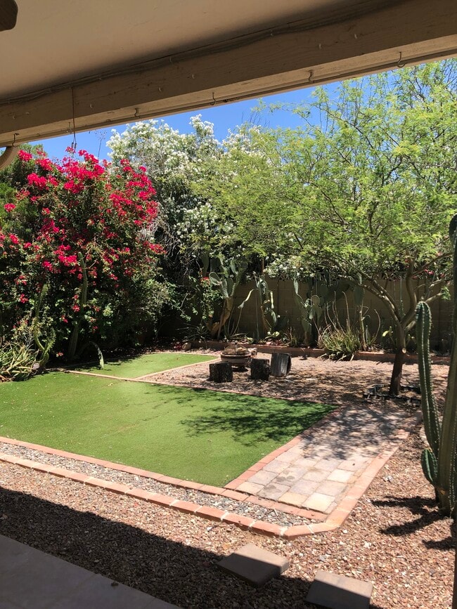 Back Yard - 2715 S Cottonwood