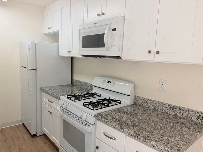 Photo - Le Tournesol