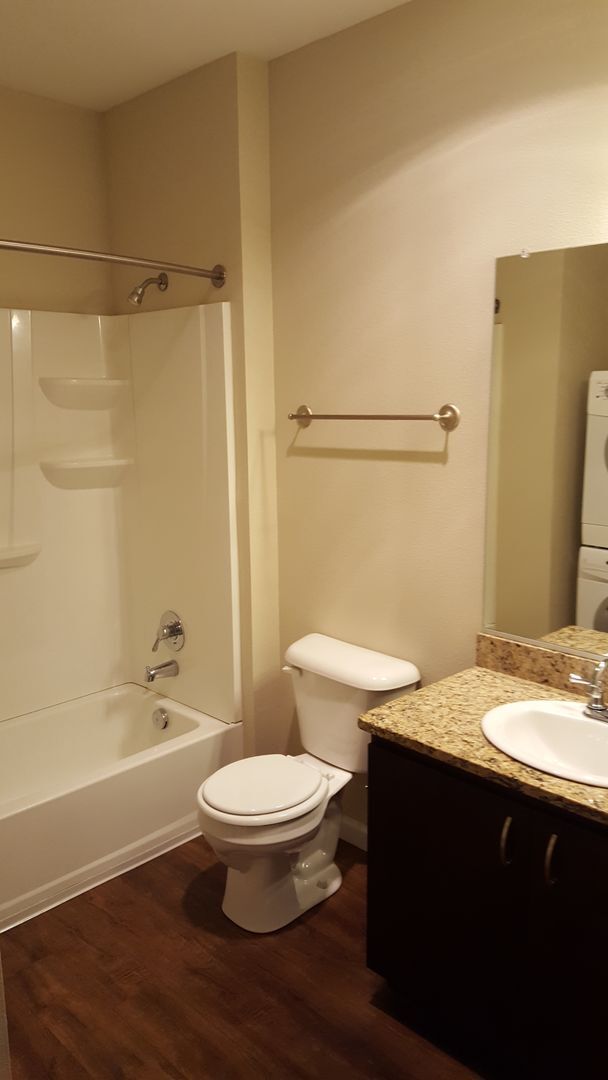 Photo - Cathedral Park