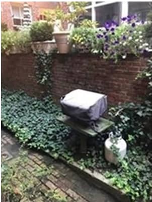 Photo - 19 Temple St Unidad 1