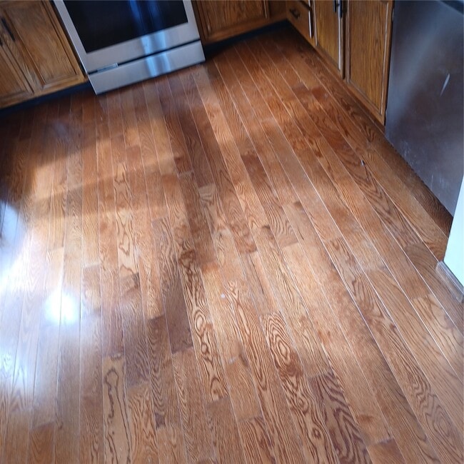 Photo - 2407 Muegge Rd