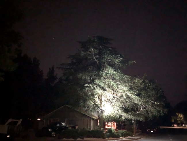 Photo - 906 Sycamore Ln