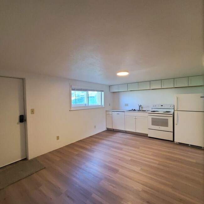 Kitchen/Main Area - 1242 S Main St Unit Basement