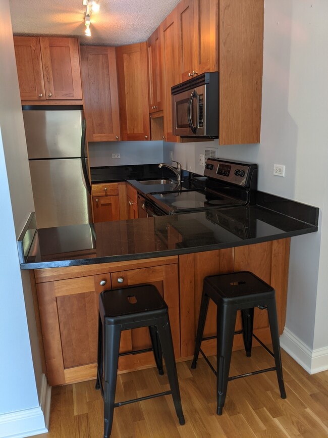 Photo - 450 W Briar Plz Unit 8E