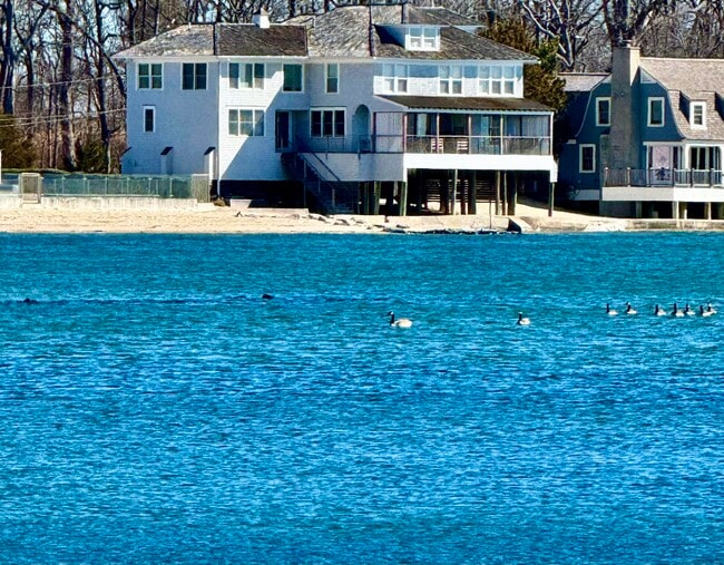 Building Photo - 66 Compo Mill Cove Rental