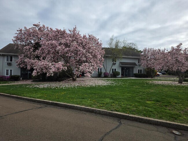 Photo - 103 Florence Rd