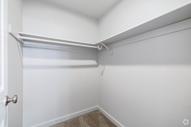 1BR, 1BA - 530SF - Closet