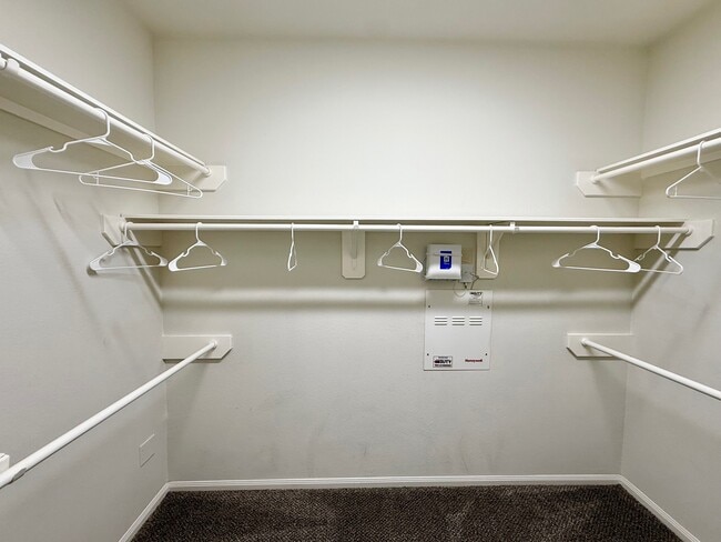 Photo - 142 E Spindle Tree Cir