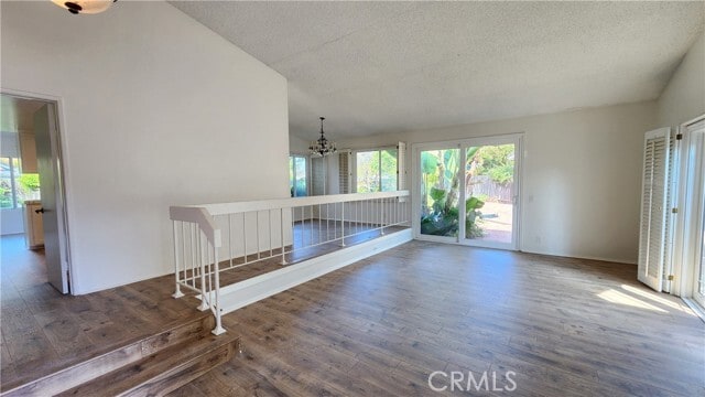 Photo - 23 Blazing Star