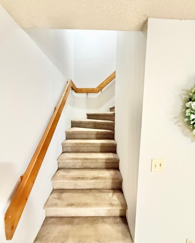 103 Mountain View Dr