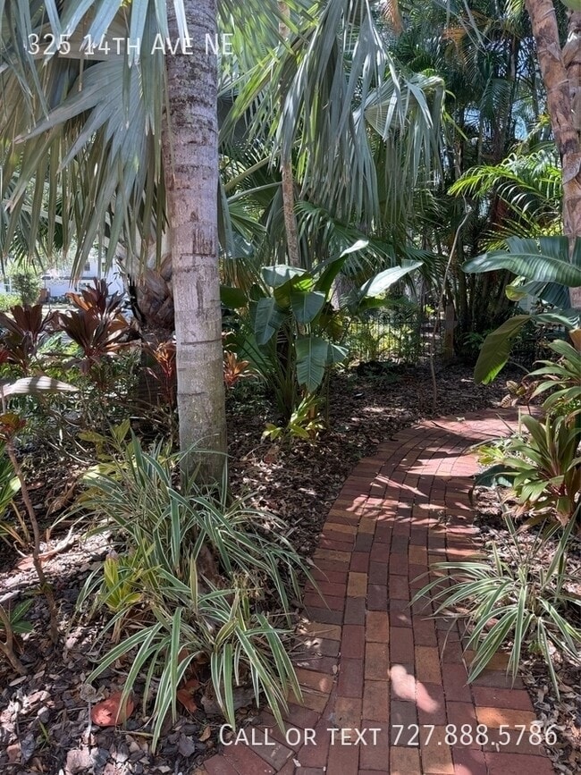 Photo - 325 14th Ave NE