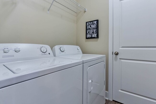 Photo - Platinum Pines