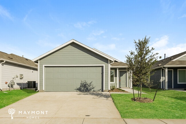 Building Photo - 3036 Burmese St