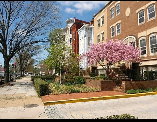 Photo - 236 Maryland Ave NE Unit Luxurious Cap Hill 1 BDRM