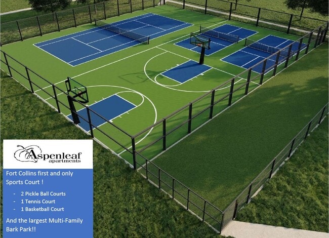 New Sports Court!