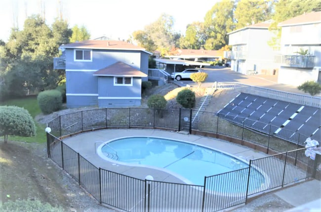 Photo - 2344 D St Apartment Unit 2344 D St, Downstairs