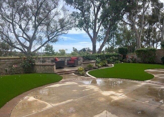 Photo - 23806 Lagarto