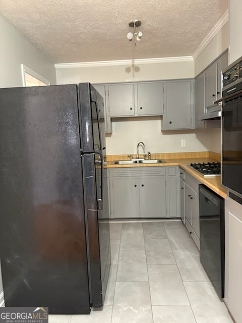 Photo - 135 Preston Pl