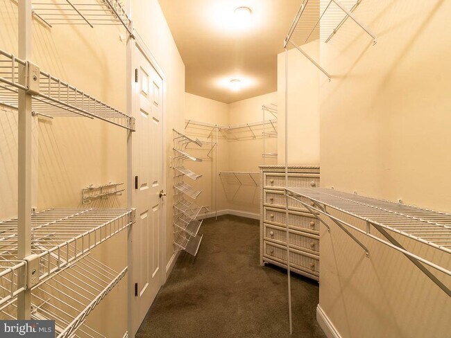 Photo - 10 Wellington Pl