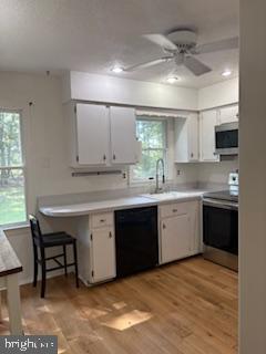 Building Photo - 11 Fox Sparrow Turn Rental