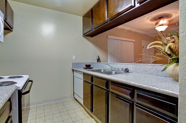 Kitchen - 315 Broadway E Apartments Unit 107