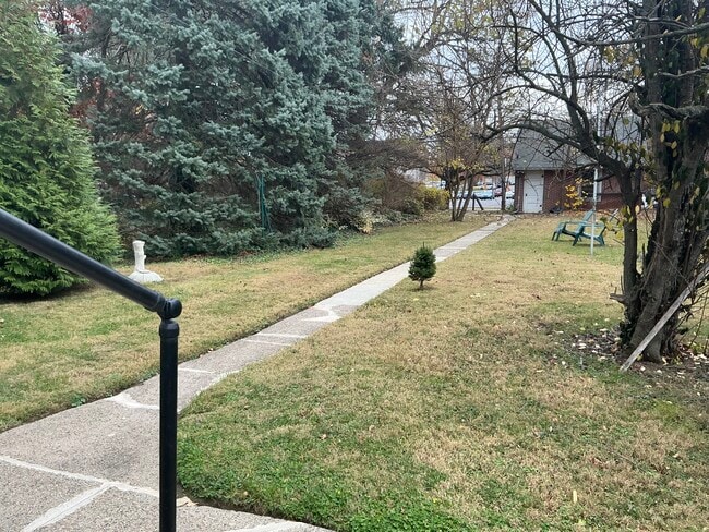 Back yard - 303 E 19th St