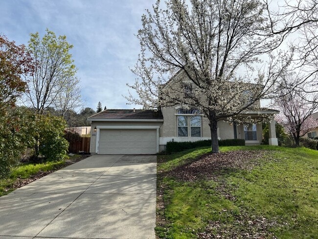 Building Photo - Beautiful Home in Cameron Park with Pool and Greenbelt Views!