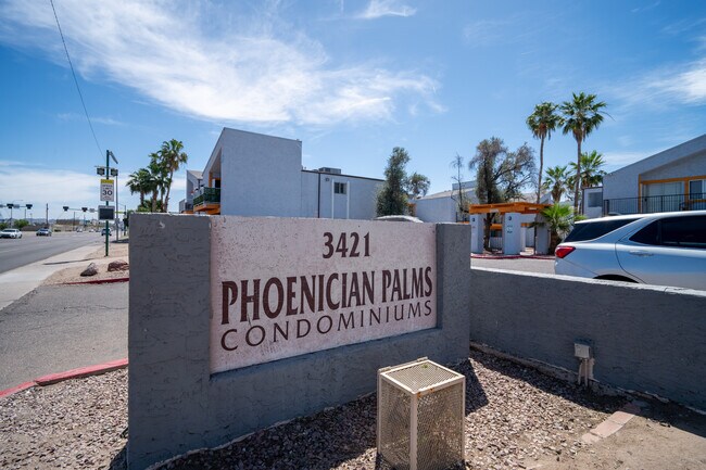 Phoenician Palms