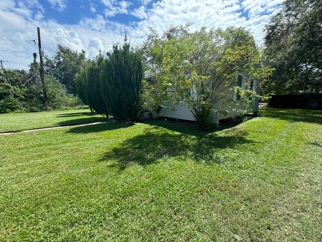 Photo - 1210 Live Oak Ave