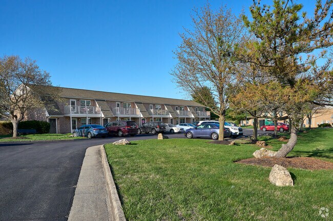 Rumsey Terrace
