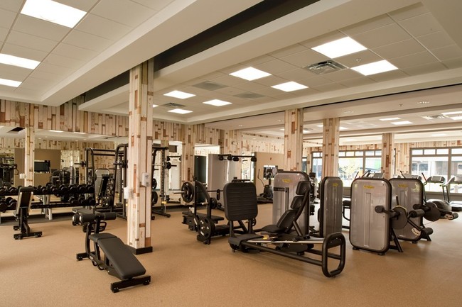 Fitness Center - 330 Angelo Cifelli Apartments