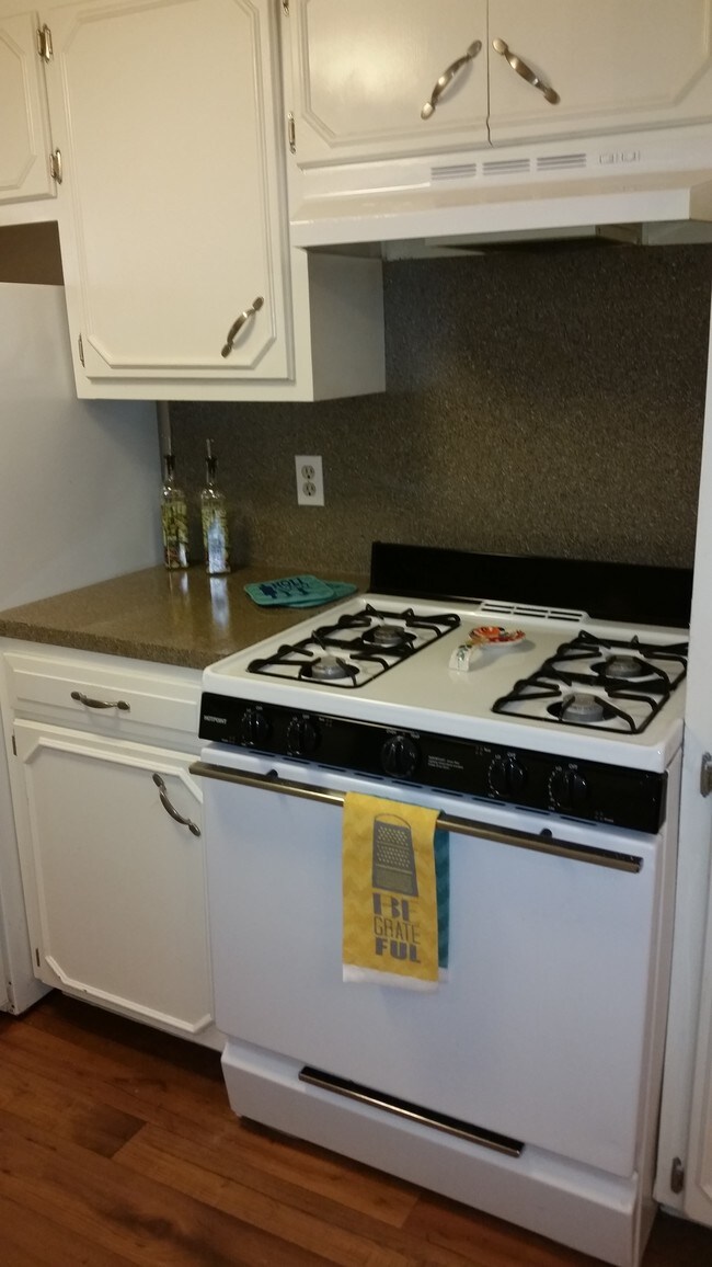 Photo - Southern Elms Apartments