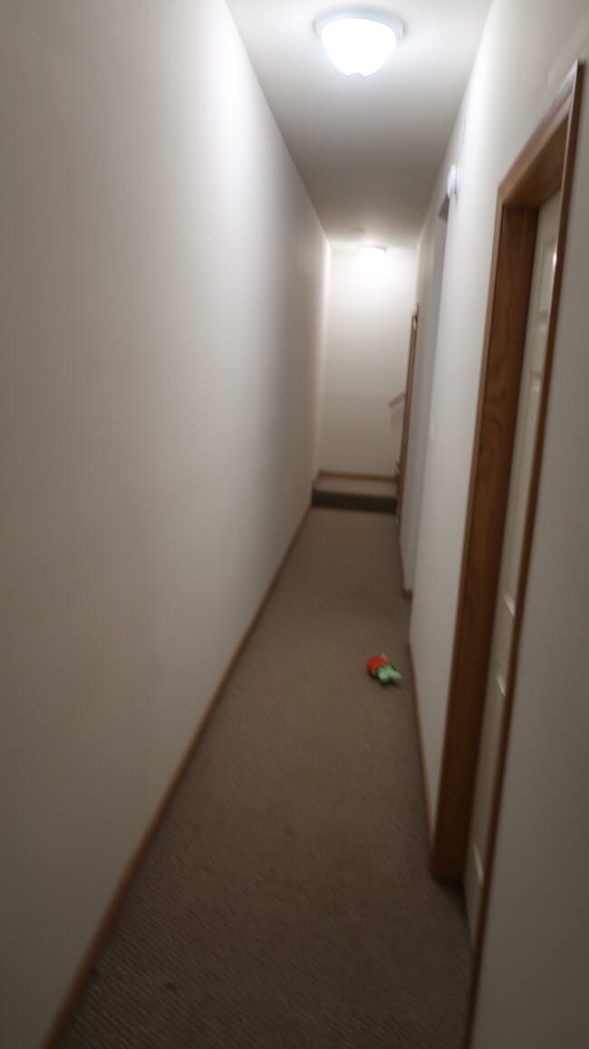 Photo - 1448 W Chicago Ave Unit 3E