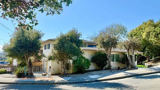 Building Photo - El Cerrito Contemporary Mid-Century 3 Bedr... Rental