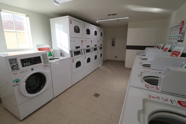 Photo - Desert Gardens