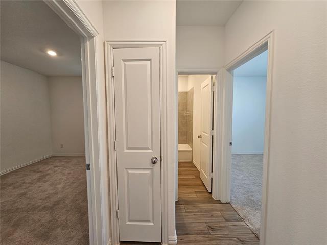 Photo - 1103 Sassafras Dr