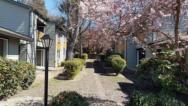 Z_Woodville Village