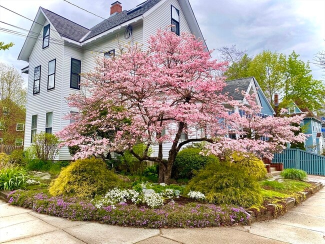 Photo - 209 Walnut St Unit 1