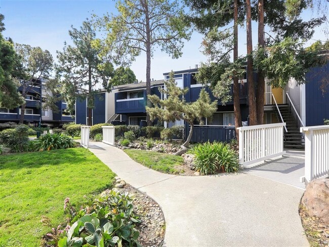 Photo - Ballena Village Apartment Homes