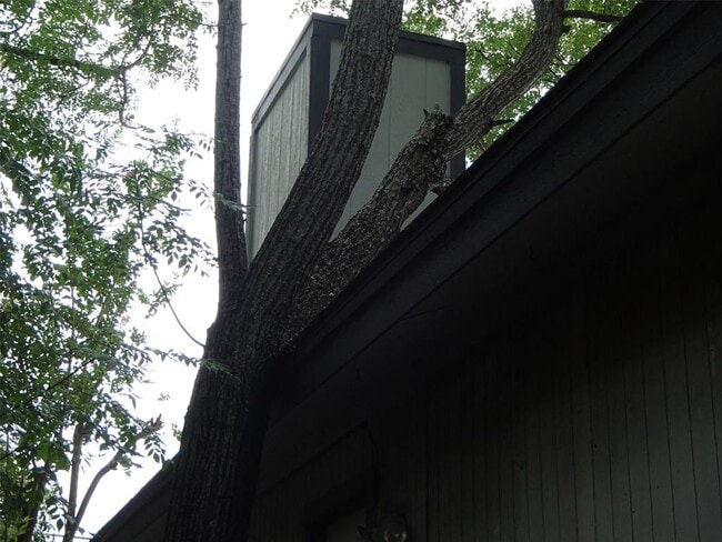 Photo - 617 Luther Dr