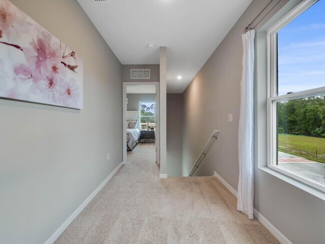 Photo - 53 Bella Oaks Dr