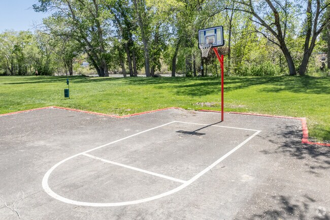 Basketball Court